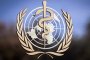 Выводы: Всемирная Организация Здравоохранения - риск и лицемерие